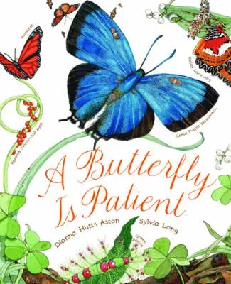 Butterfly Is Patient