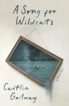 A Song for Wildcats : Stories
