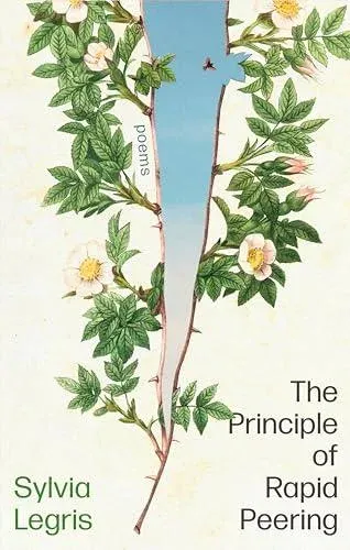 Principle of Rapid Peering