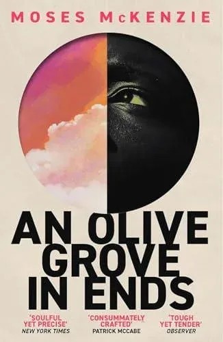 An Olive Grove in Ends : The dazzling debut novel about love, faith and community, by an electrifying new voice