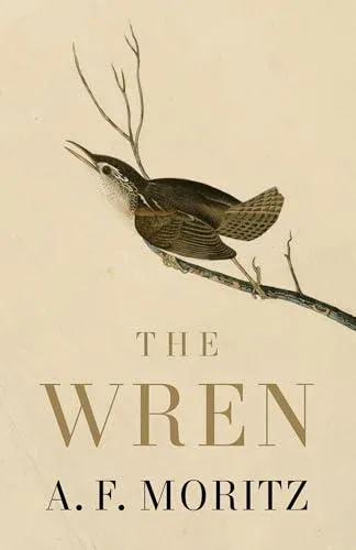 Wren