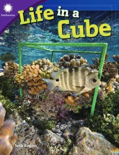 Life in a Cube