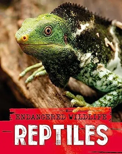 Endangered Wildlife: Rescuing Reptiles