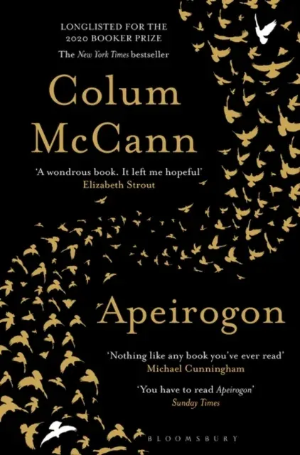 Apeirogon : a novel about Israel, Palestine and shared grief, nominated for the 2020 Booker Prize