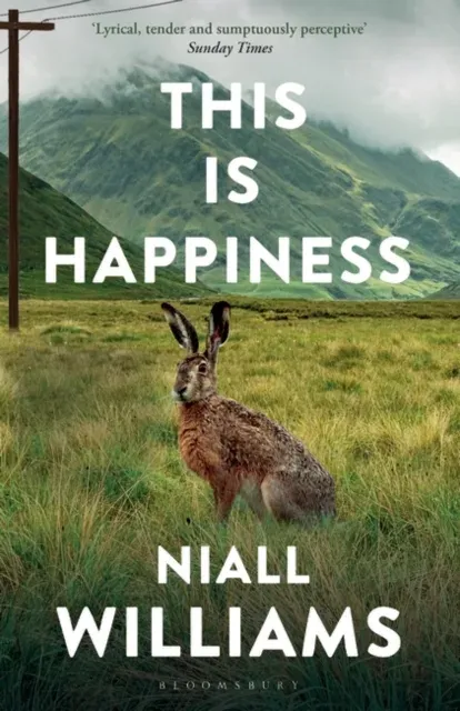 This Is Happiness : By the author of Four Letters of Love, now a major film starring Helena Bonham Carter and Pierce Brosnan