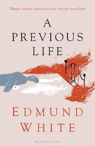 A Previous Life : Another Posthumous Novel