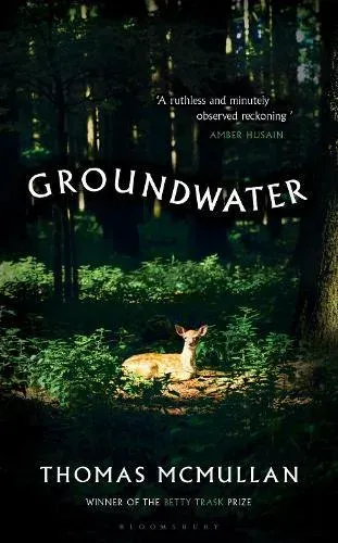Groundwater : 'Complex, chilling, masterful' Financial Times