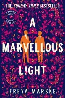 A Marvellous Light : A dazzling, queer romantic fantasy