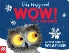 WOW! It's Snowing : A First Book of Weather