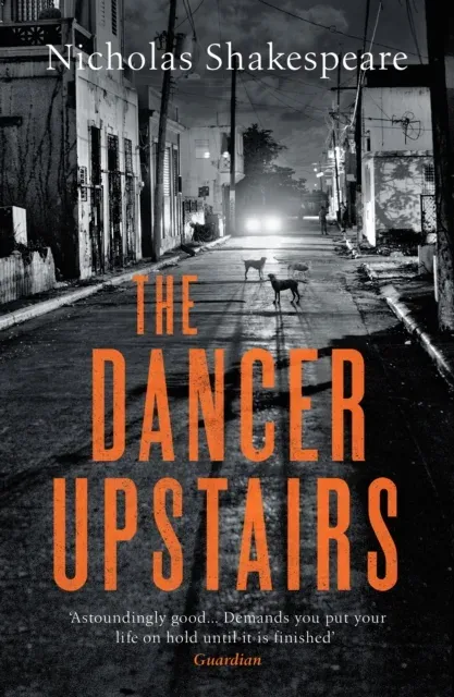 Dancer Upstairs