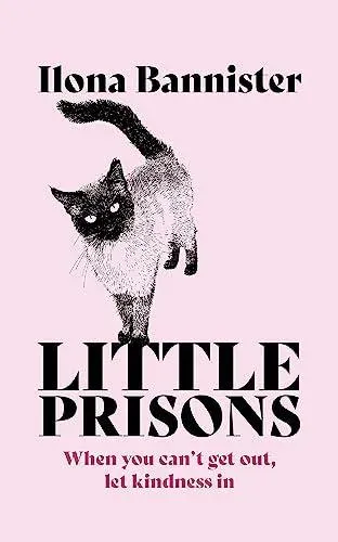 Little Prisons