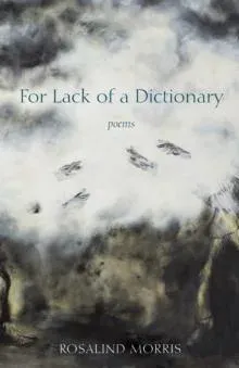 For Lack of a Dictionary