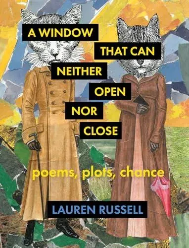 A Window That Can Neither Open Nor Close : Poems, Plots, Chance