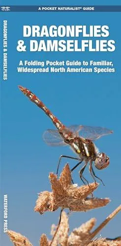 Dragonflies & Damselflies