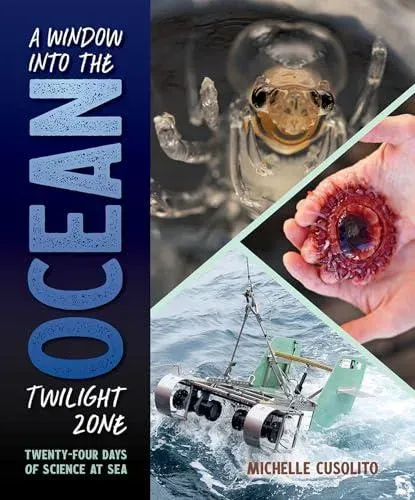 Window into the Ocean Twilight Zone