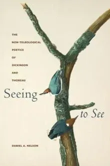 Seeing to See