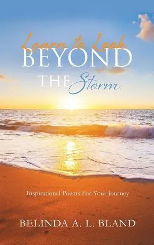 Learn to Look Beyond The Storm
