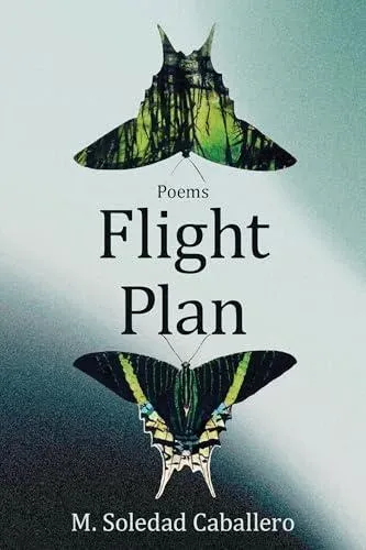 Flight Plan : Poems