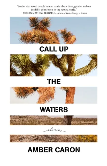 Call Up the Waters : Stories