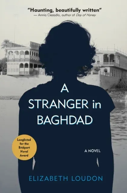 A Stranger in Baghdad : A Novel