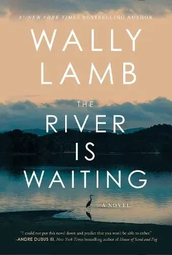 The River Is Waiting (Oprah's Book Club) : A Novel