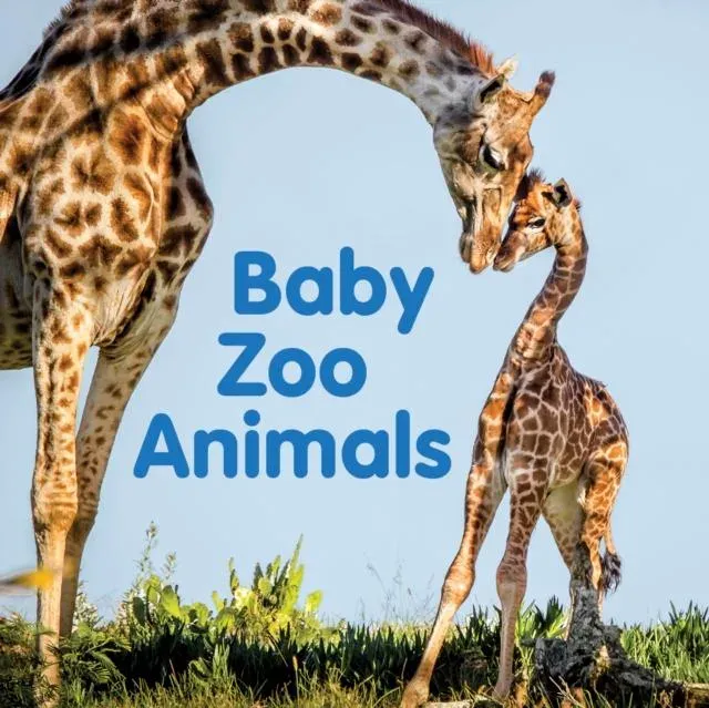 Baby Zoo Animals : Board Book