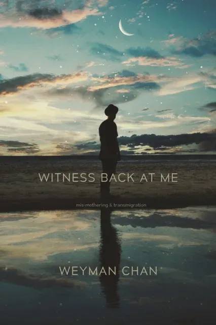 Witness Back at Me : mis-mothering & transmigration