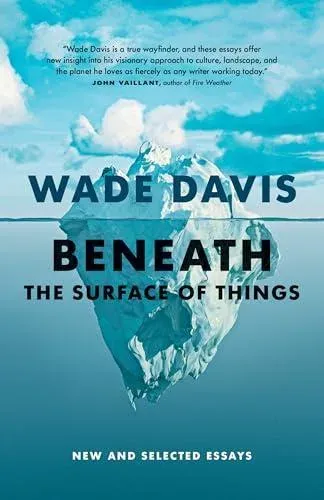 Beneath the Surface of Things : New and Selected Essays