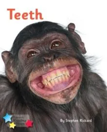Teeth