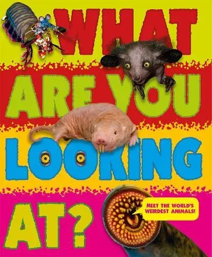 What Are You Looking At?