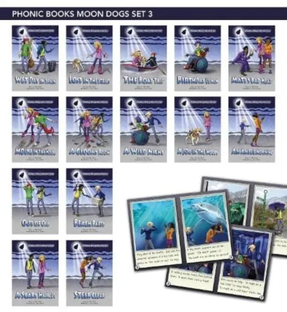 Phonic Books Moon Dogs Set 3 Vowel Spellings : Two alternative vowel spellings