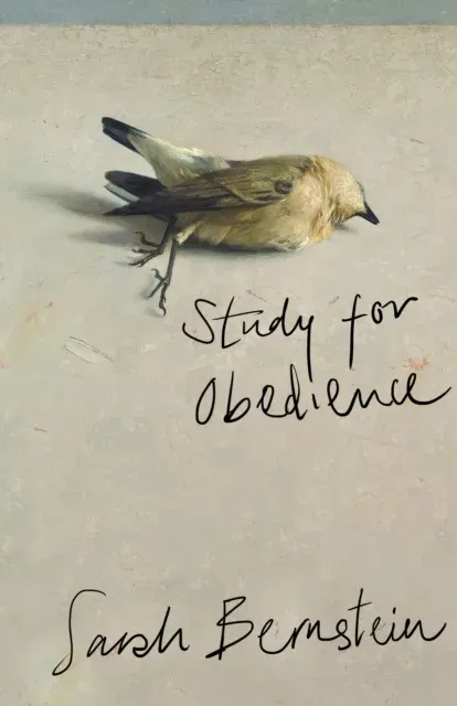Study for Obedience: Shortlisted for the Booker Prize 2023