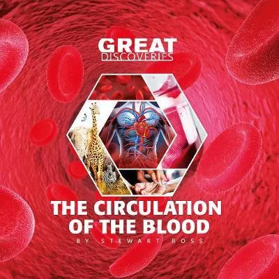 circulation of blood