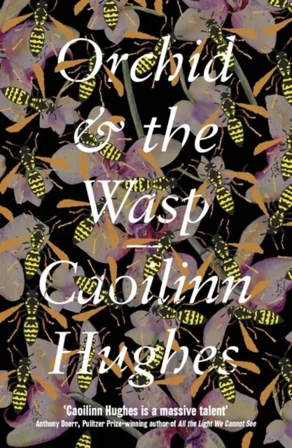 Orchid & the Wasp : 'This year's Conversations with Friends' Irish Times