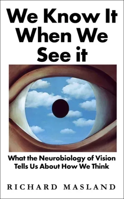 We Know It When We See It : What the Neurobiology of Vision Tells Us About How We Think