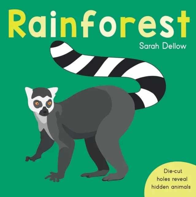 Now you See It! Rainforest
