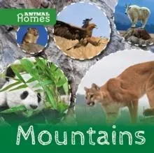 Mountains