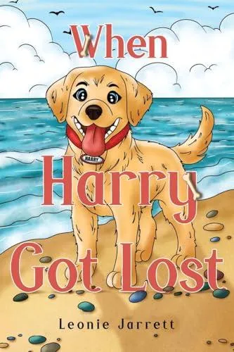 When Harry Got Lost