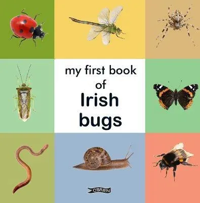 My First Book of Irish Bugs