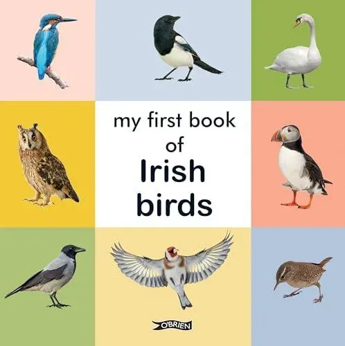 My First Book of Irish Birds