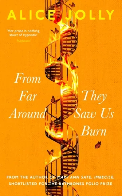 From Far Around They Saw Us Burn