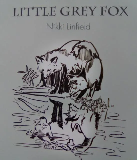 Little Grey Fox