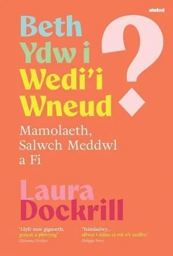 Beth Ydw i Wedi'i Wneud? Mamolaeth, Salwch Meddwl a Fi