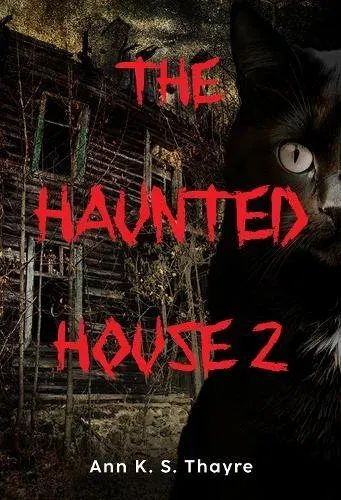 Haunted House 2