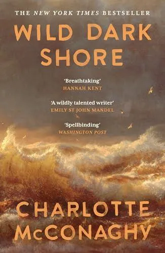Wild Dark Shore