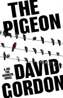 Pigeon