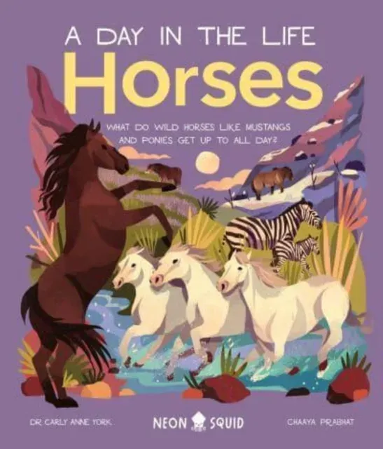 Horses (A Day in the Life) : What Do Wild Horses like Mustangs and Ponies Get Up To All Day?