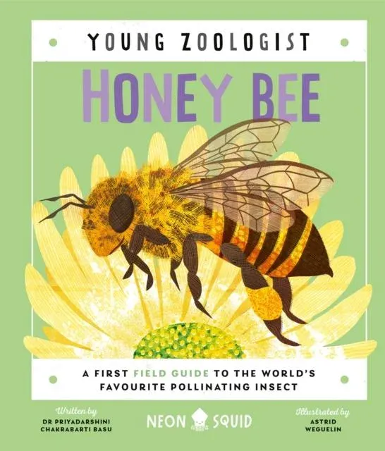 Honey Bee (Young Zoologist) : A First Field Guide to the World's Favourite Pollinating Insect