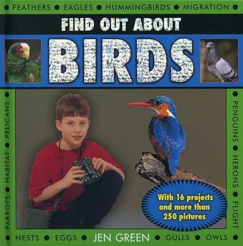 Find Out About Birds