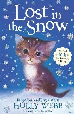 Lost in the Snow